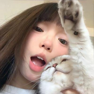 小金刚纽约大冒险